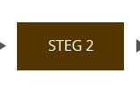 Steg 2