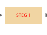 Steg 1