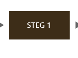 Steg 1