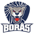 Borås HC