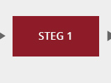 Steg 1