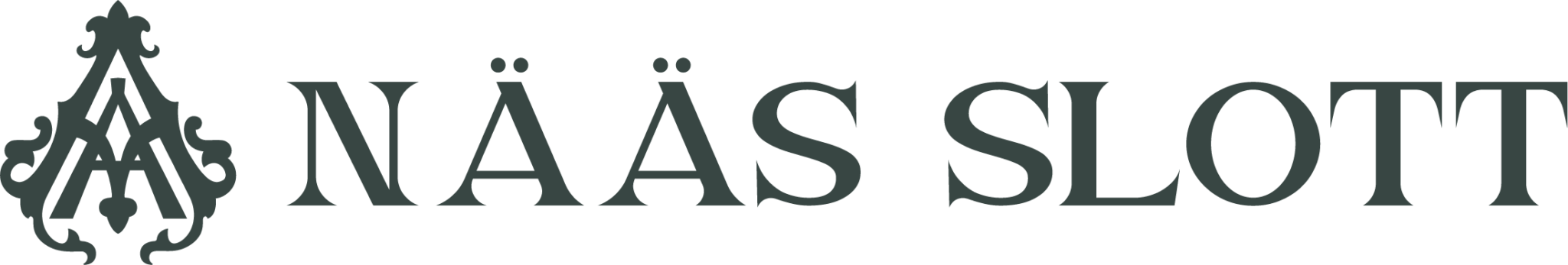 Na·a·s Slott logo dark