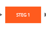 Steg 1