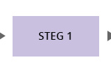 Steg 1