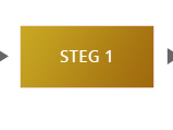 Steg 1