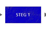 Steg 1